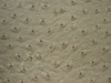 Embossed