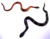 Snakes