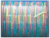 Holographic
